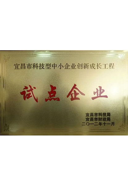 試點(diǎn)企業(yè)